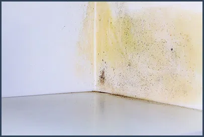 Boca Raton Restoration Expert Boca Raton, FL 561-283-4685 - content-water-damage