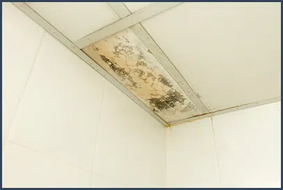 Boca Raton Restoration Expert Boca Raton, FL 561-283-4685 Boca Raton Restoration Expert Boca Raton, FL 561-283-4685