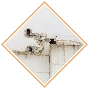 Boca Raton Restoration Expert Boca Raton, FL 561-283-4685 Boca Raton Restoration Expert Boca Raton, FL 561-283-4685
