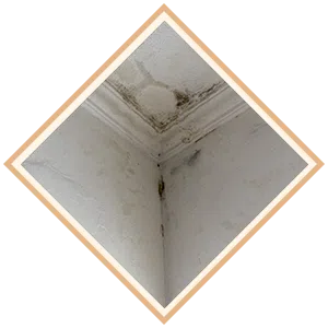 Boca Raton Restoration Expert Boca Raton, FL 561-283-4685 Boca Raton Restoration Expert Boca Raton, FL 561-283-4685