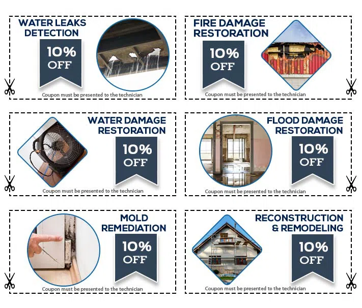 Boca Raton Restoration Expert Boca Raton, FL 561-283-4685 - set-6